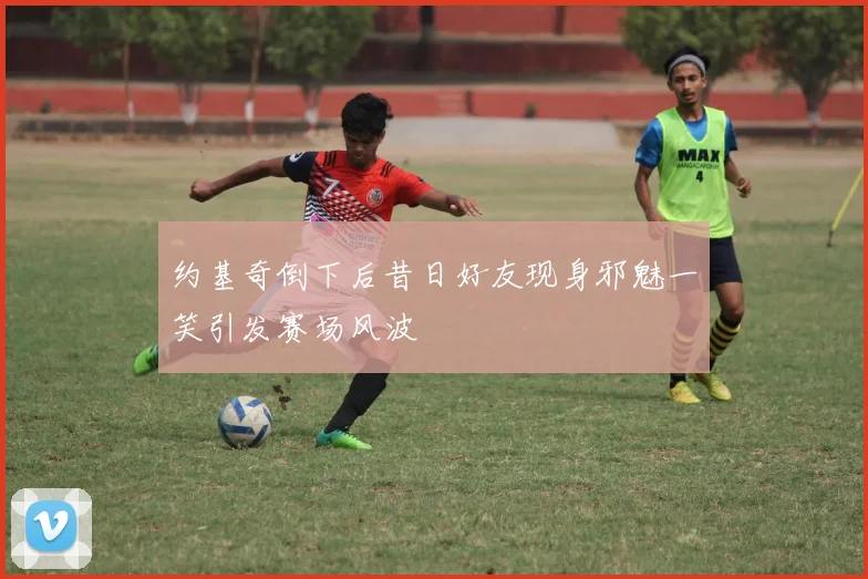 约基奇倒下后昔日好友现身邪魅一笑引发赛场风波