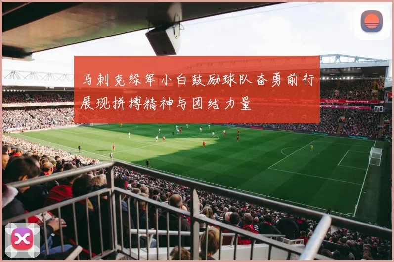 马刺克绿军小白鼓励球队奋勇前行展现拼搏精神与团结力量